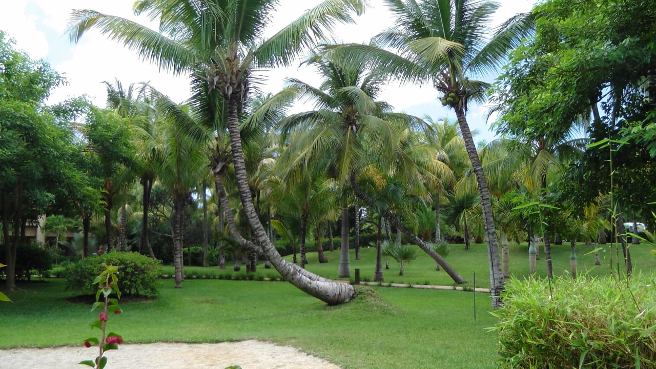 Super schöner Garten Mauricia Beachcomber Resort & Spa