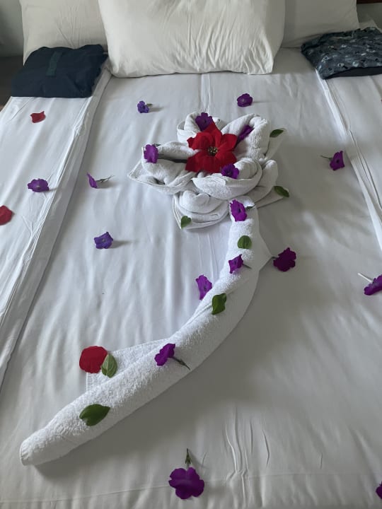 Zimmer Radisson Blu Resort, El Quseir