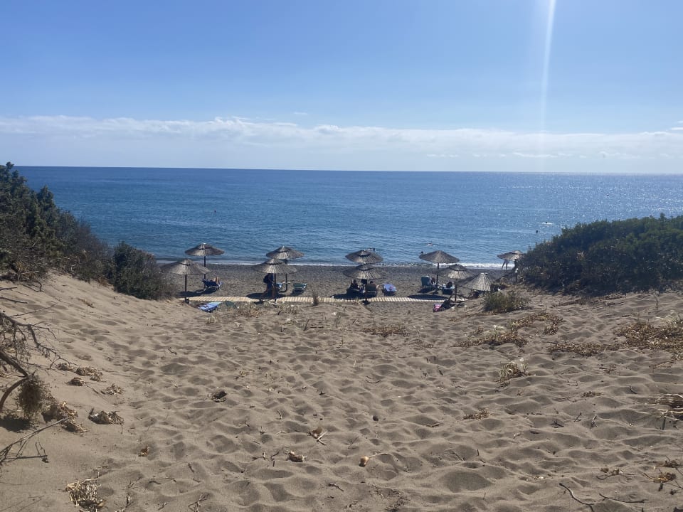 Strand Atlantica Plimmiri