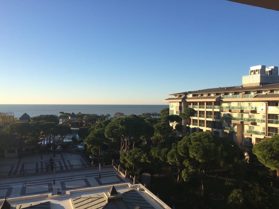 Meerblick Papillon Ayscha