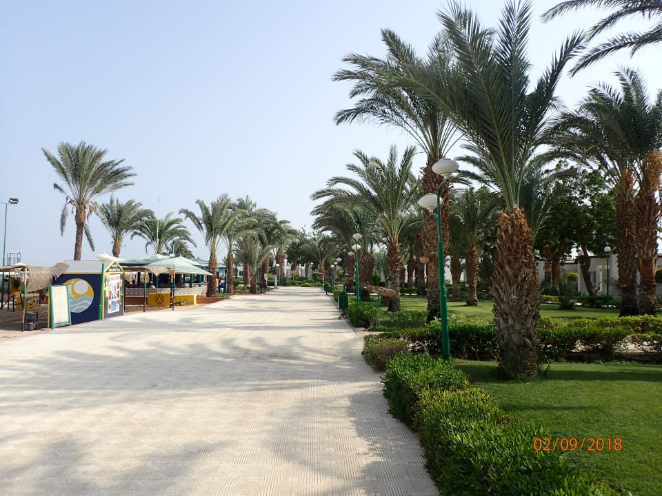 Außenansicht Menaville Safaga