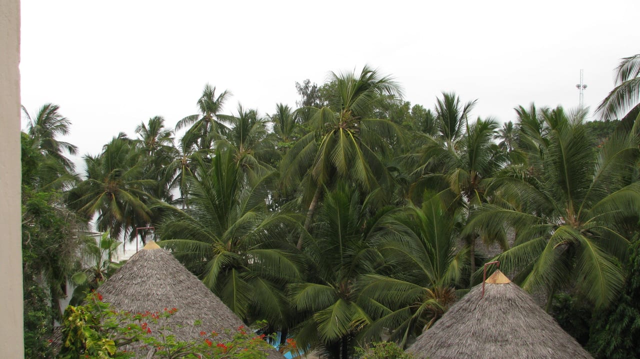 Widok z oknabasen Neptune Beach Resort