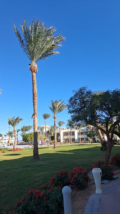 Außenansicht Pickalbatros Dana Beach Resort - Hurghada