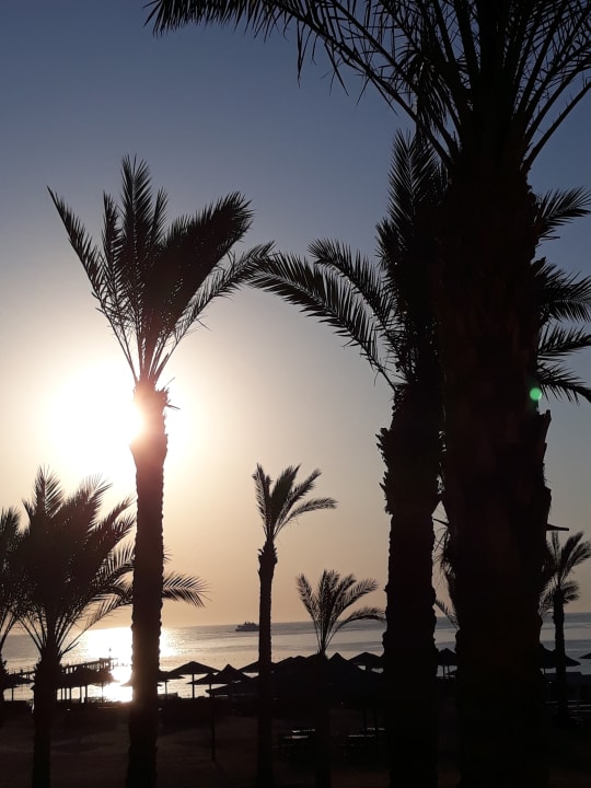 Strand Pickalbatros Sands Hotel - Port Ghalib