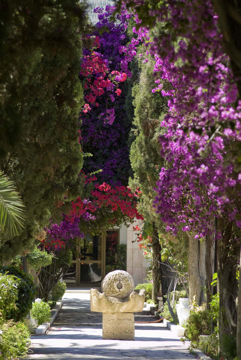 Gartenanlage The Orangers Beach Resort and Bungalows