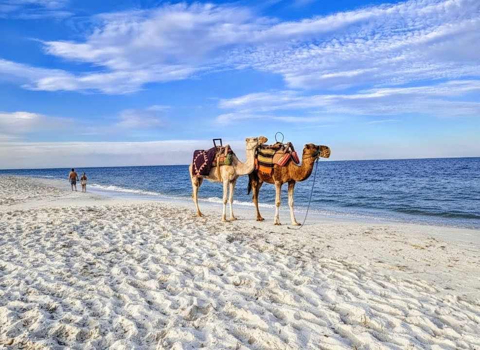 Strand Iberostar Selection Kantaoui Bay