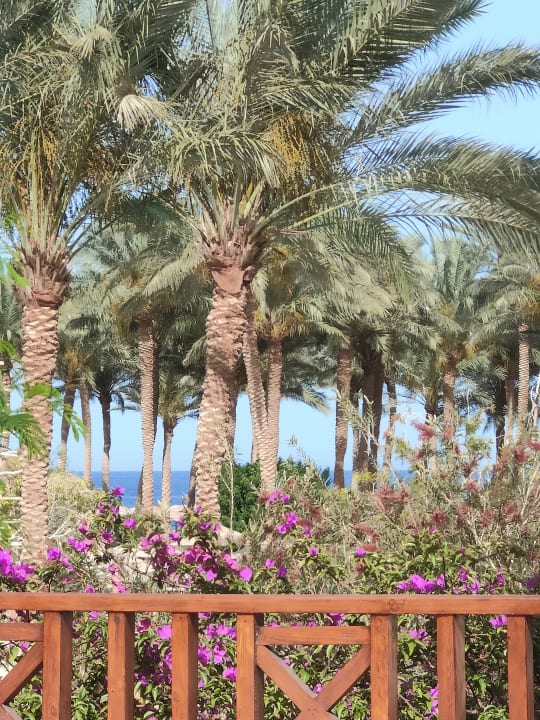 Ausblick Grand Makadi
