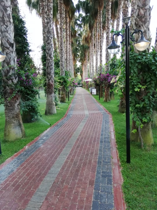 Gartenanlage Hotel Gardenia Beach