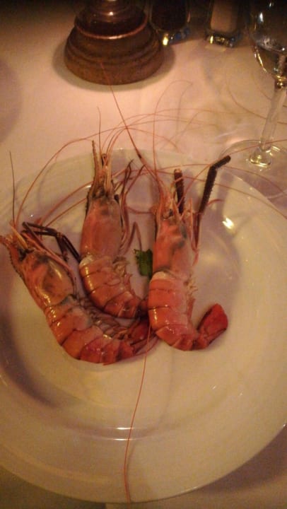 Restaurant Akumal Bay Beach & Wellness Resort