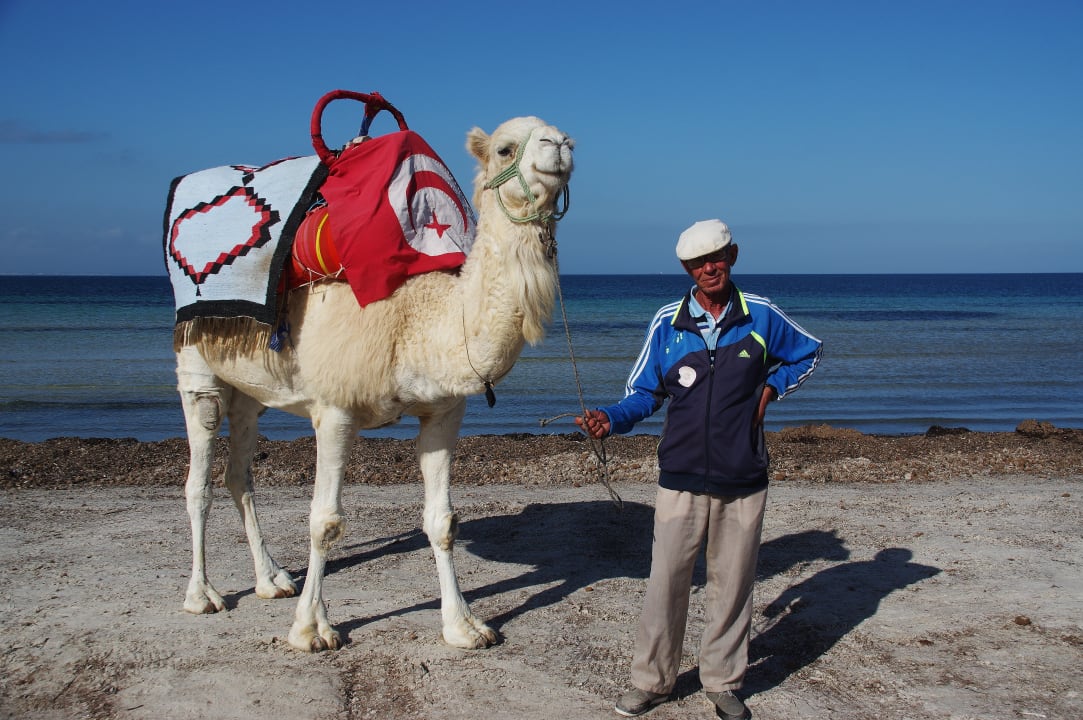 Sonstiges Skanes Serail Aquapark