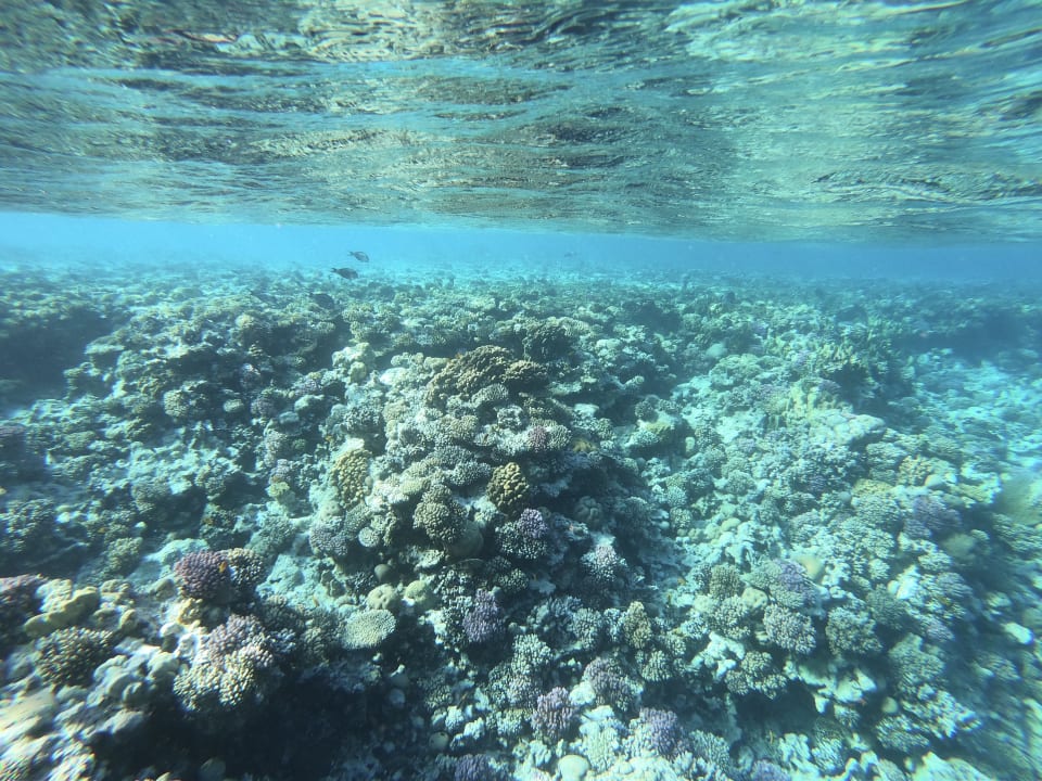 Strand Grand Waterworld Makadi & Family Star Makadi