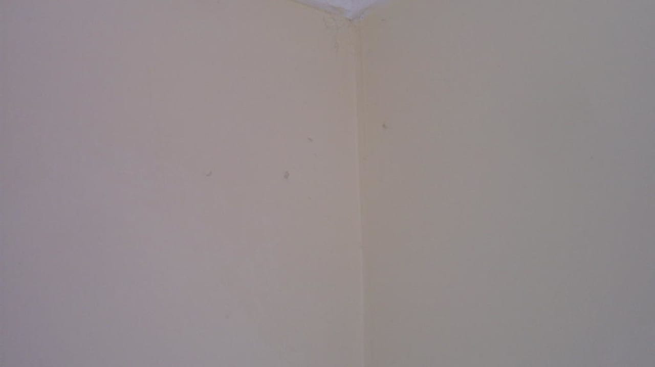 Spinnen weben Hotel Orfeus Park