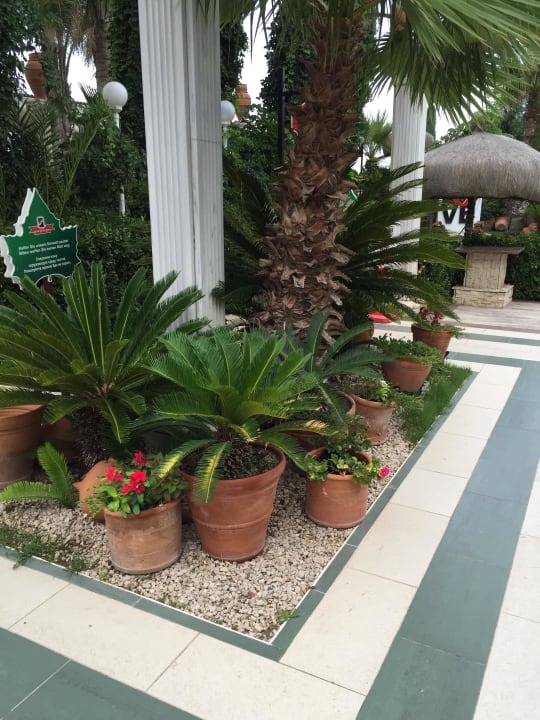 Weg zur Lobby Hotel Club Sera