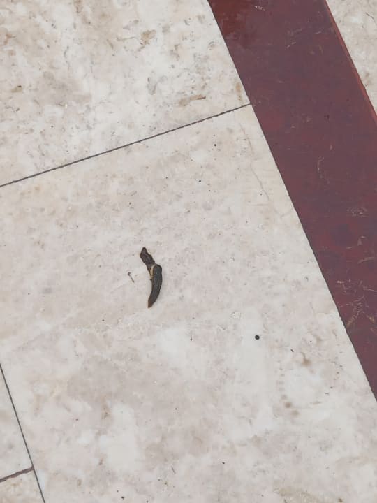 Sonstiges Alexius Beach Hotel