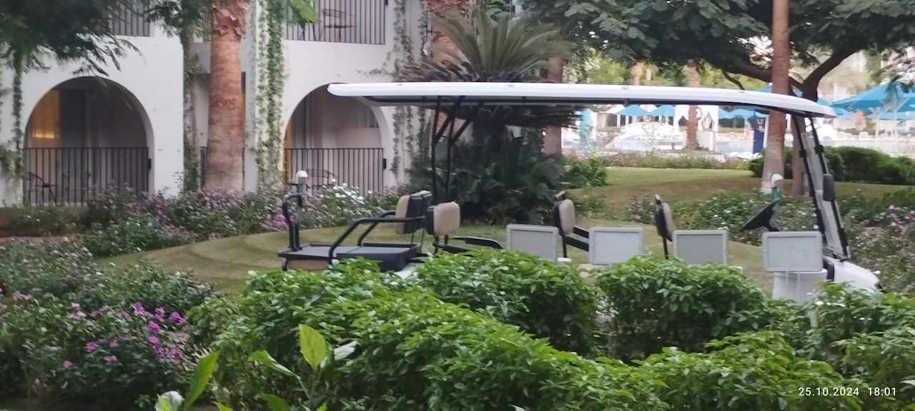 Sonstiges Desert Rose