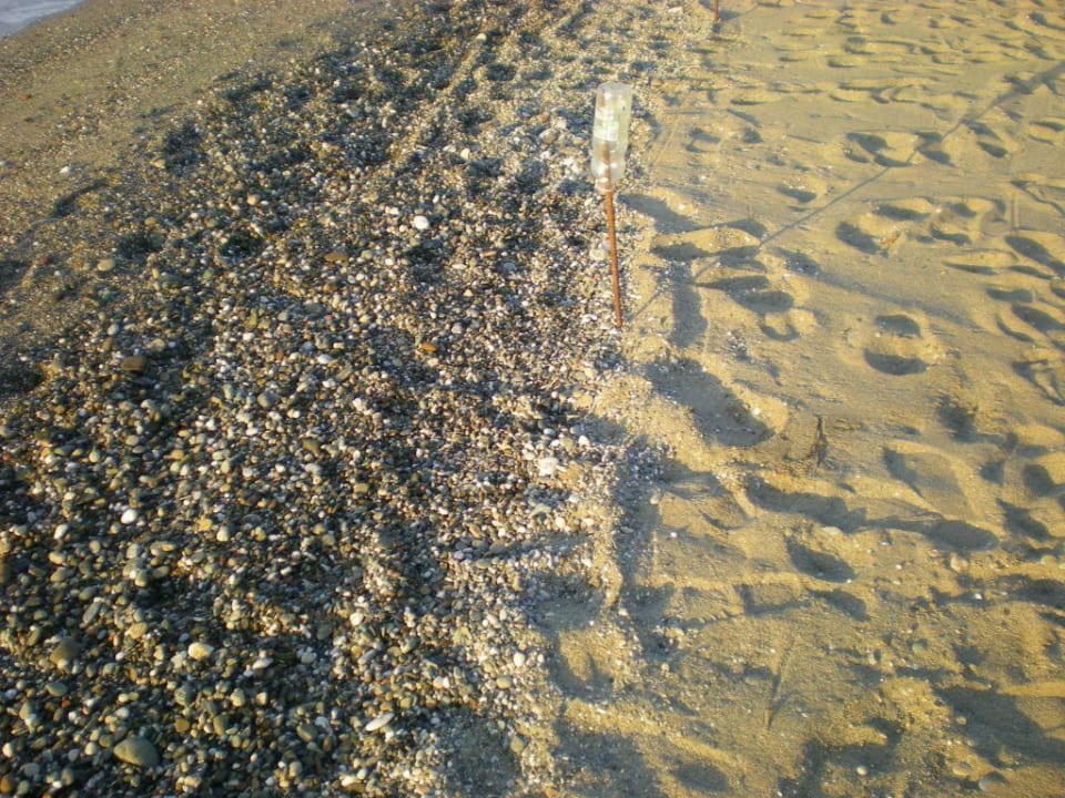 Kamienie / piasek Hotel Kathrin Beach