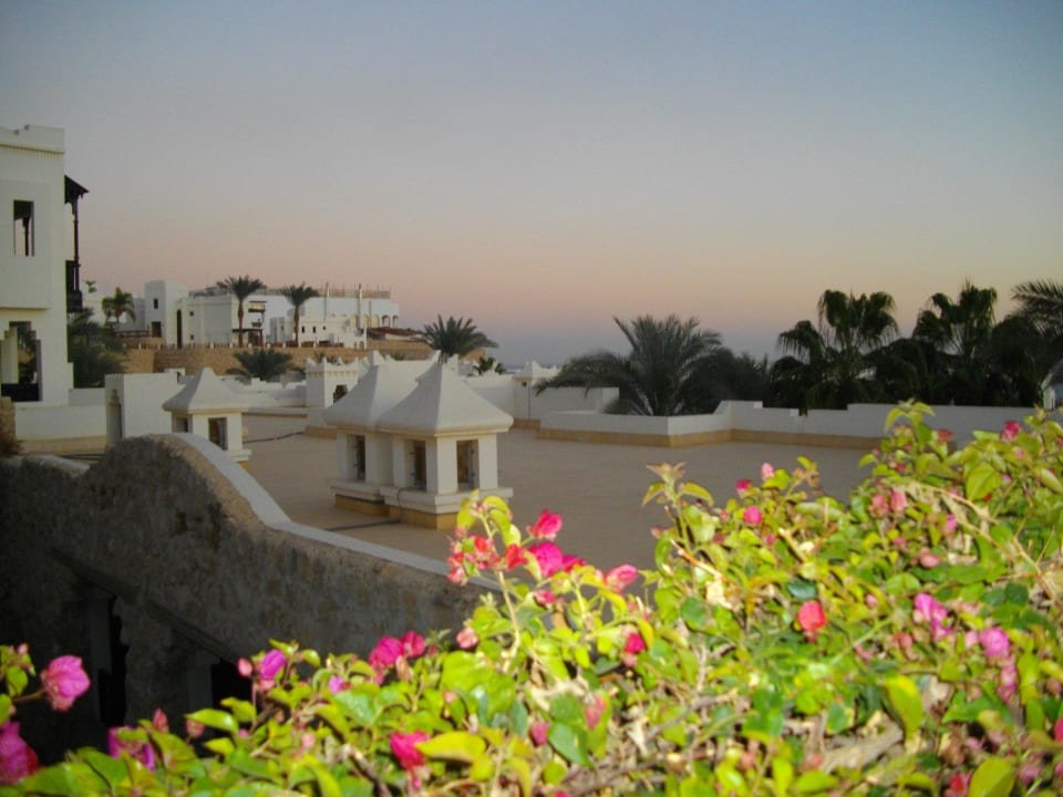Gartenanlage Sharm Plaza