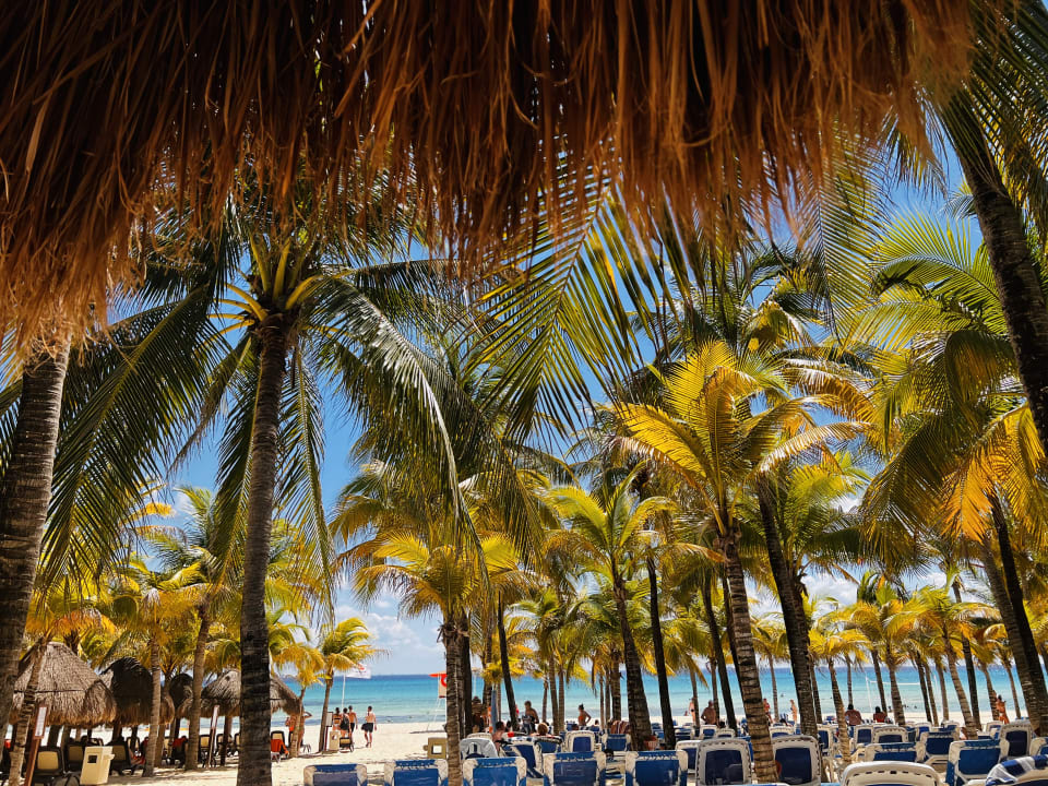 Strand Viva Azteca by Wyndham - All Inclusive Resort