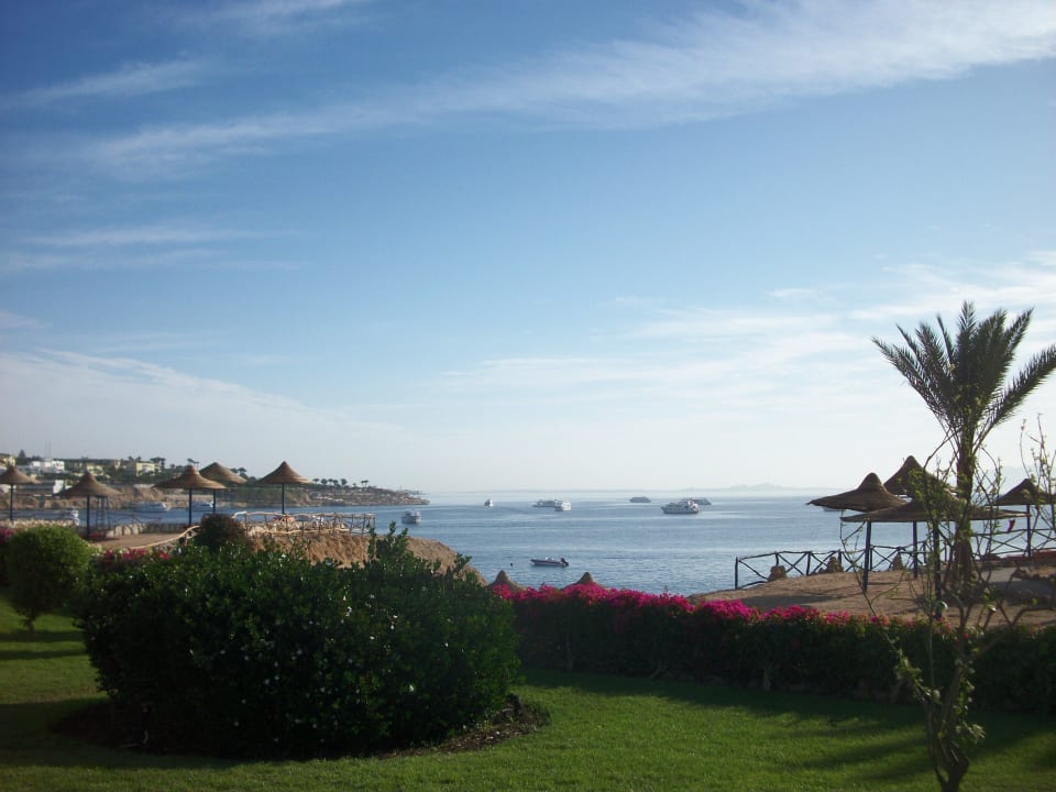 Blick vom Zimmer aus V Hotel Sharm El Sheikh