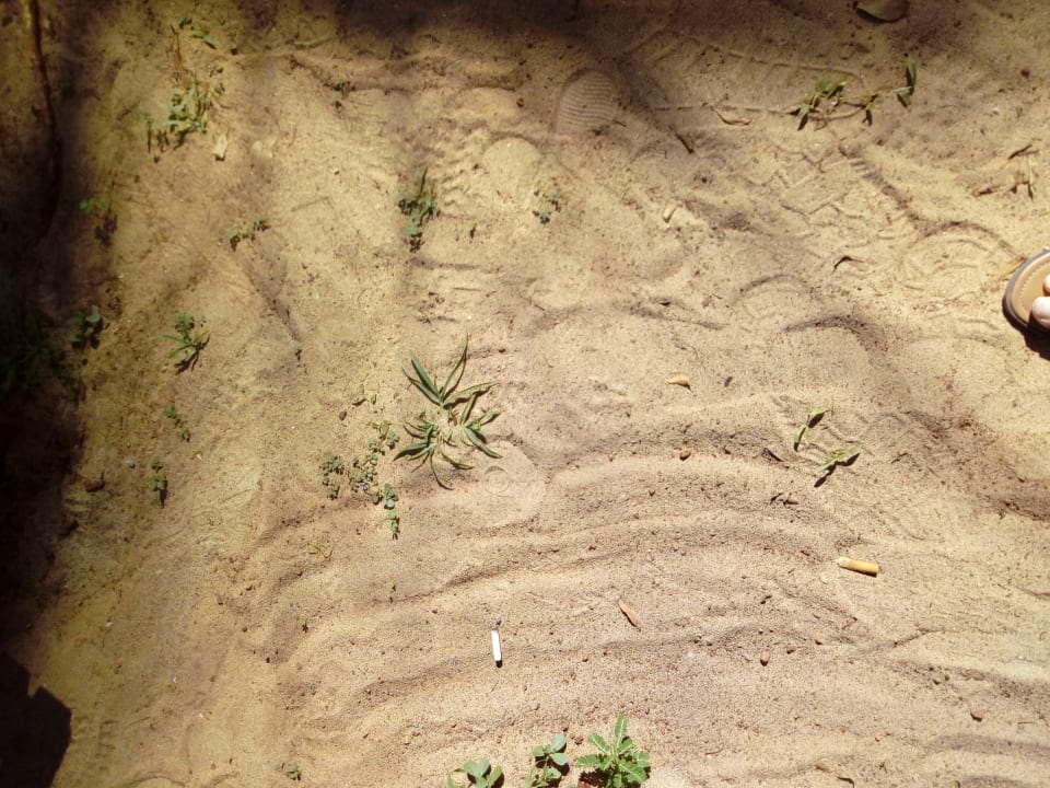 Sonstiges Sirenis Tropical Varadero