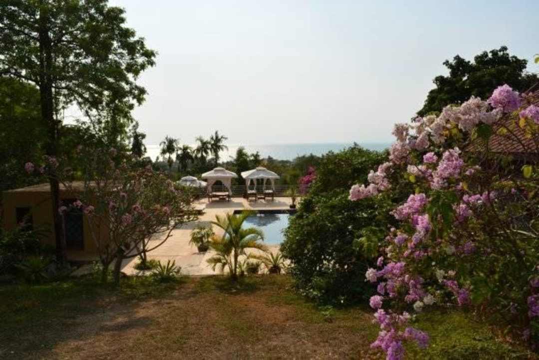 Herrlich angelegte Anlage - viel Blumen/ Farben Vanna Hill Resort