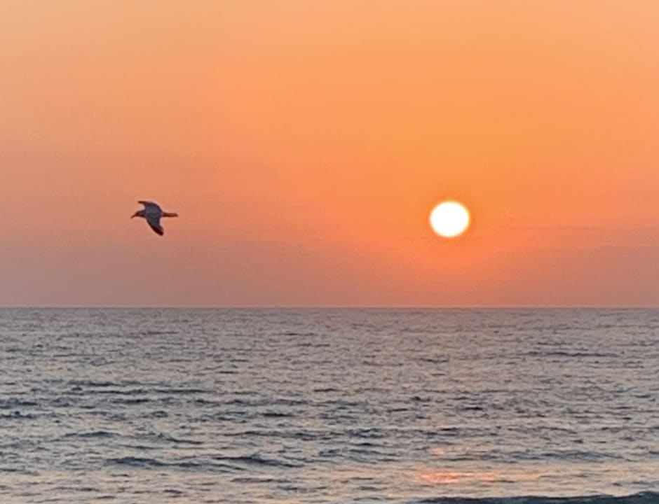 Ausblick The Sea Hotel by Grupotel - Adults only