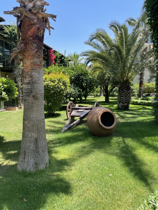 Gartenanlage Paloma Oceana