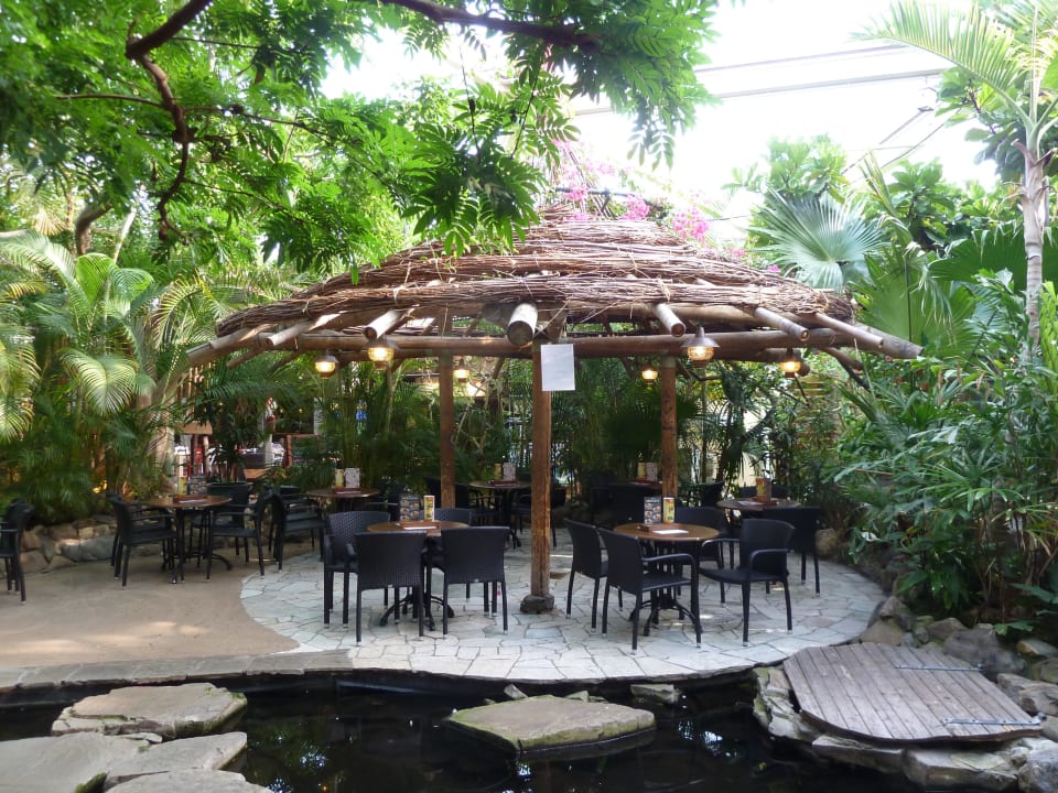 Marketdome Center Parcs De Kempervennen