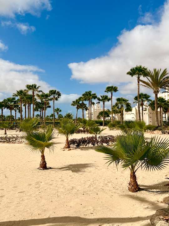 Gartenanlage Hotel Riu Karamboa