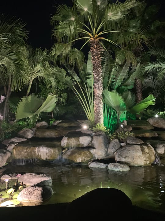 Gartenanlage Iberostar Waves Tucan