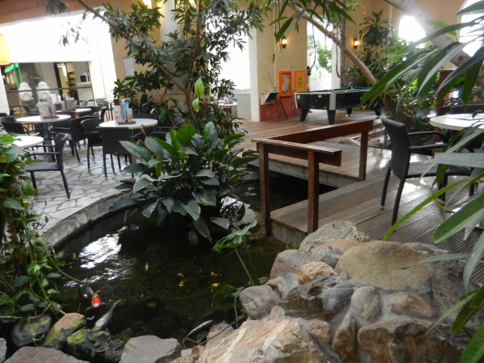 Market Dome Bistro Bereich Center Parcs Het Heijderbos