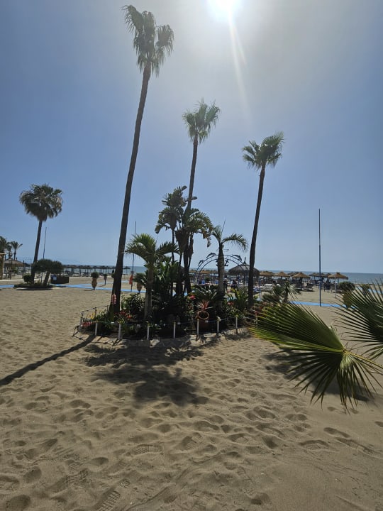 Strand Hotel MS Amaragua