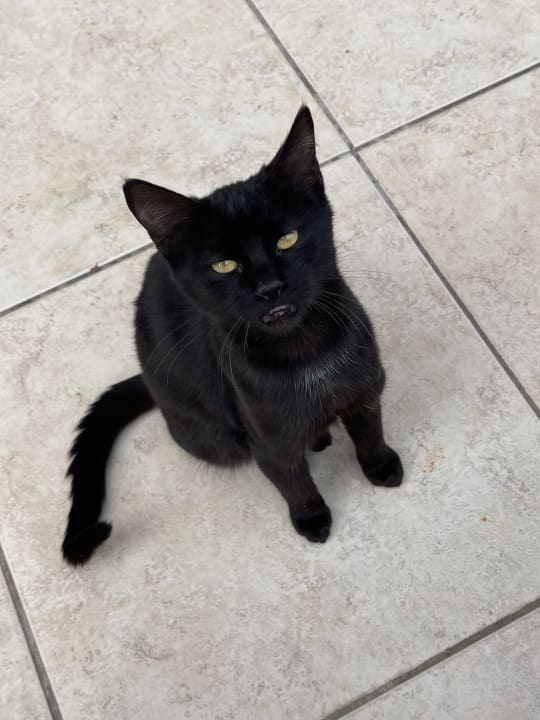 Sonstiges Akka Alinda Hotel