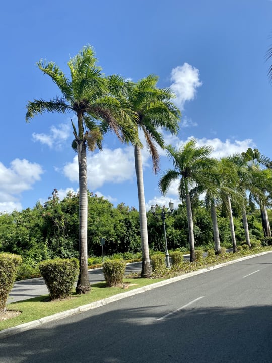 Sonstiges Iberostar Selection Coral Bávaro