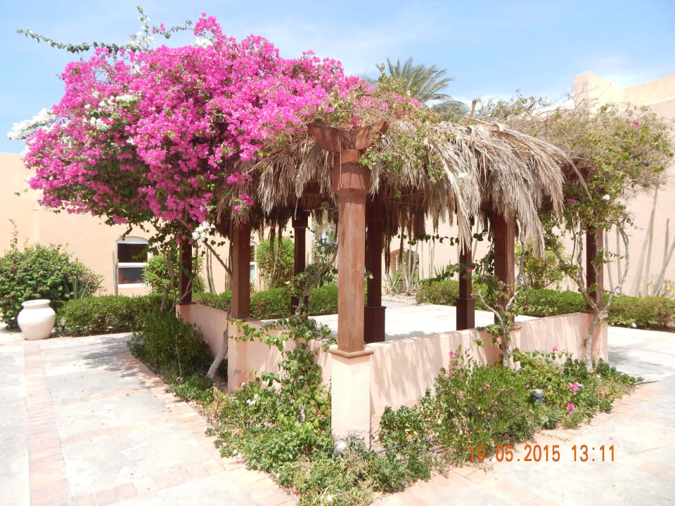 Im Hotel Makadi Beach Jaz Makadi Oasis Resort