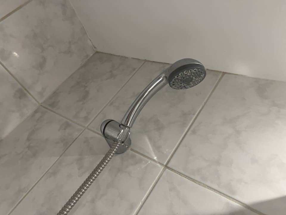 Zimmer Sunshine Rhodes