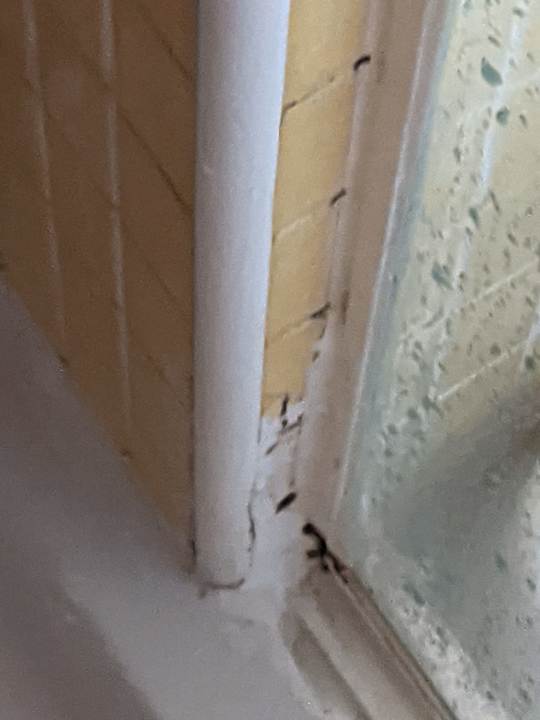 Zimmer Apartamentos Turísticos Mix BR AT2179