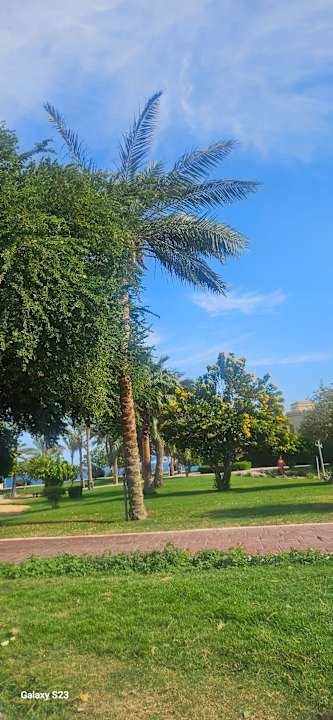 Gartenanlage Serenity Alpha Beach