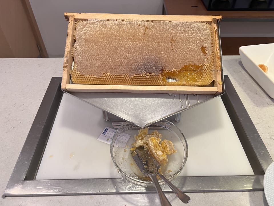 Gastro TUI BLUE Xanthe