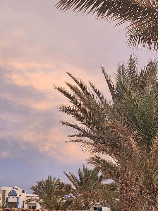 Gartenanlage Coral Sun Beach