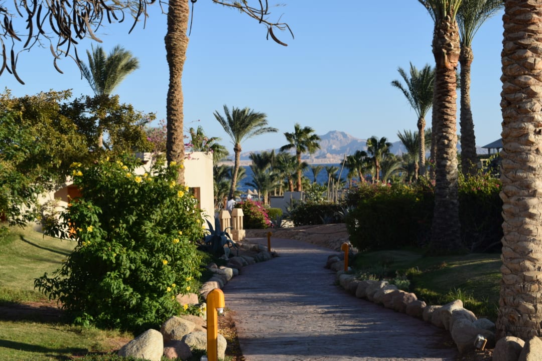 Gartenanlage Parrotel Beach Resort