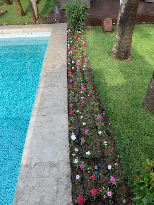 Gartenanlage Gloria Serenity Resort