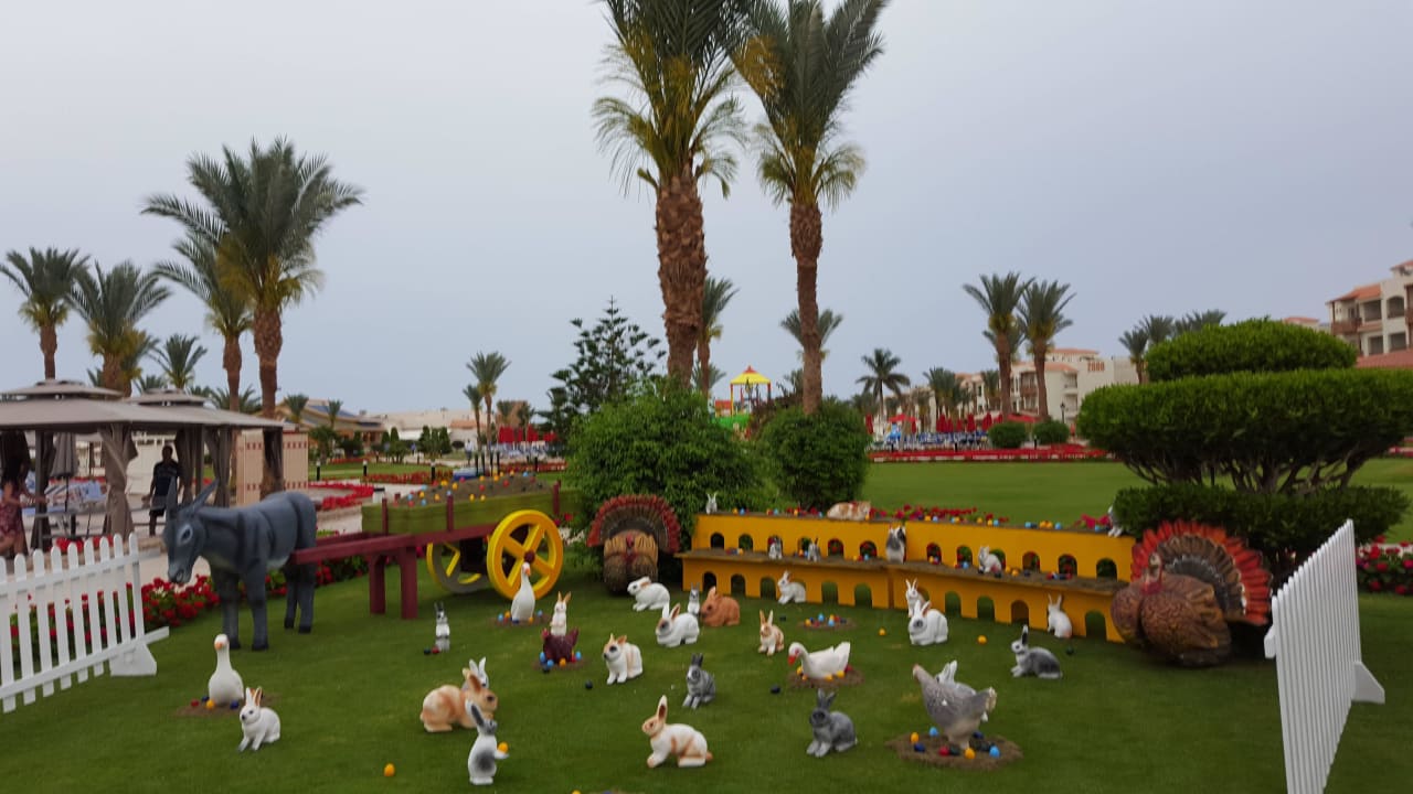 Ostern im Dana Beach Pickalbatros Dana Beach Resort - Hurghada