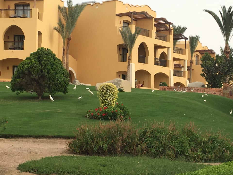 Gartenanlage Jaz Dar EL Madina