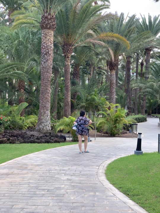 Gartenanlage Hotel Riu Palace Oasis