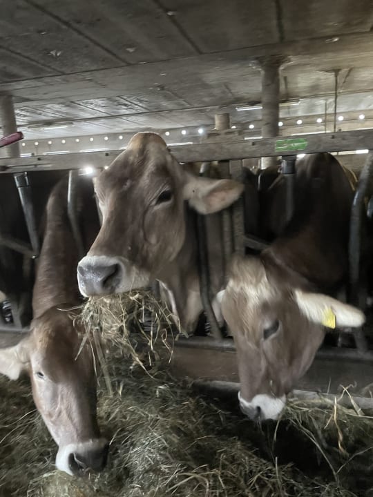 Sonstiges Residence Speckerhof