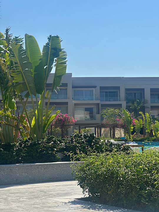 Pool Steigenberger Resort Ras Soma