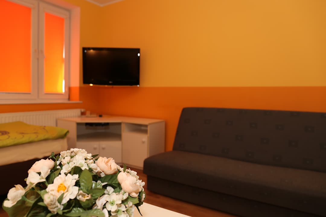 Zimmer OW Leśna Przystań