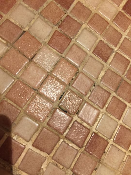 Zimmer allsun App.-Hotel Albatros