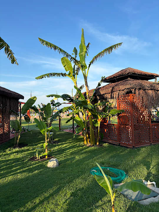 Strand VONRESORT Golden Coast